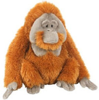 Orangutang