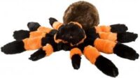 Tarantula (Fågelspindel)